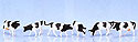 Cows - Kato 24-220